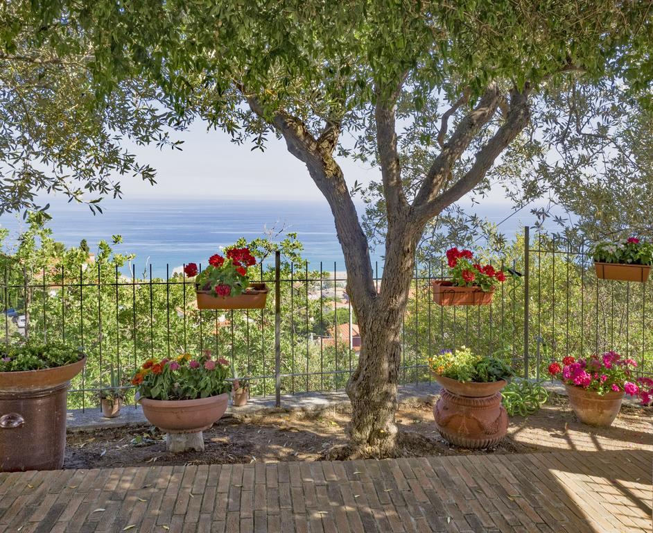 ピエトラ・リーグレ Tra Gli Ulivi Bed & Breakfast エクステリア 写真