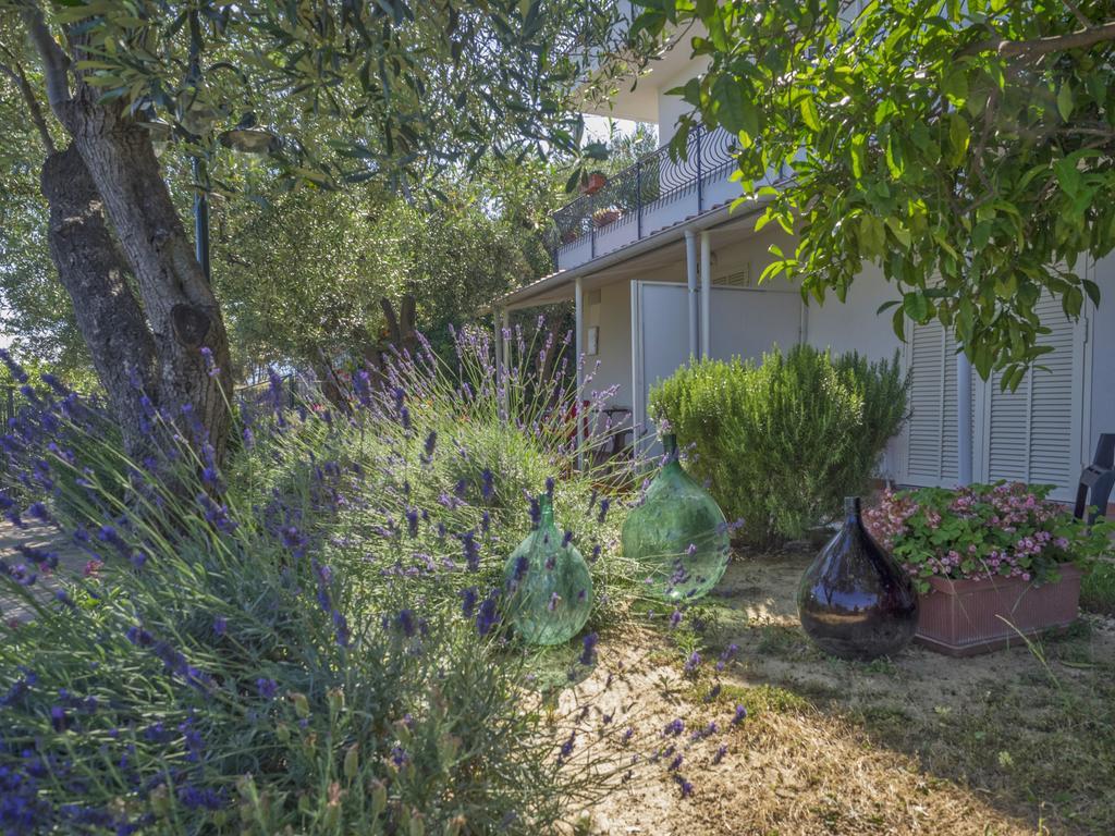 ピエトラ・リーグレ Tra Gli Ulivi Bed & Breakfast エクステリア 写真